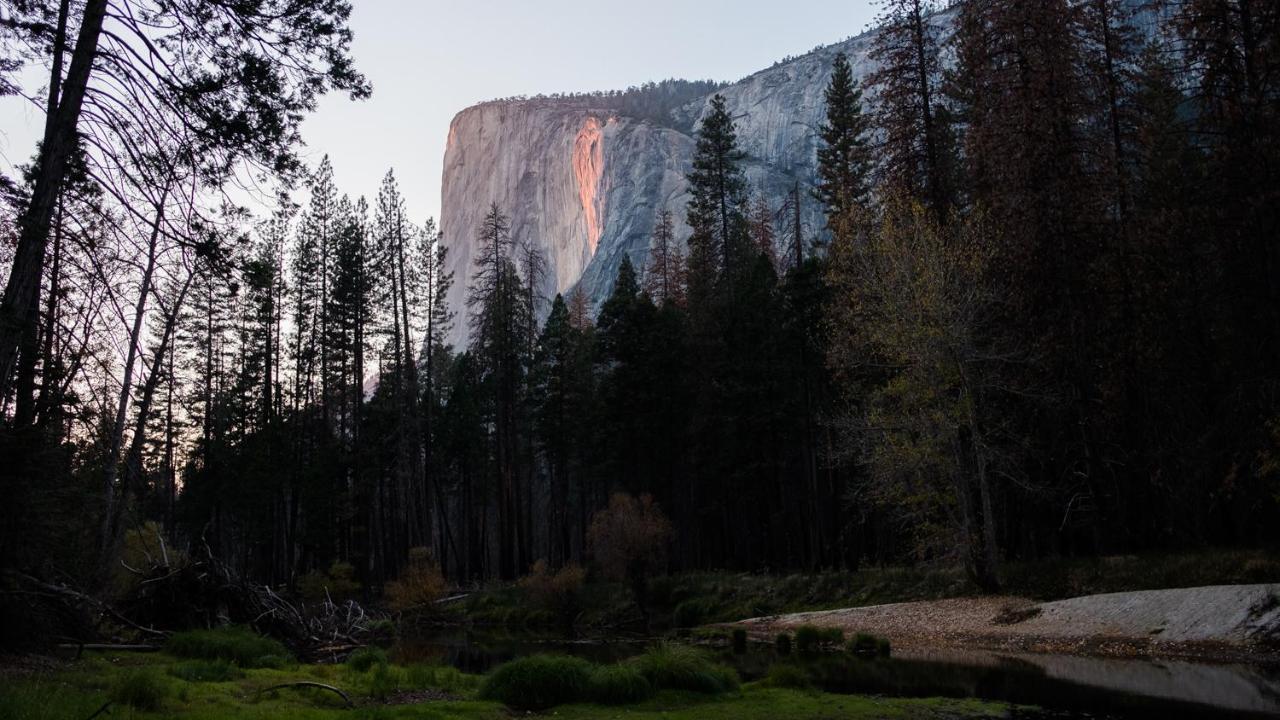 Autocamp Yosemite Hotel Midpines Exterior foto